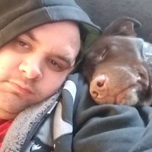 Meet your Posher, Gavin